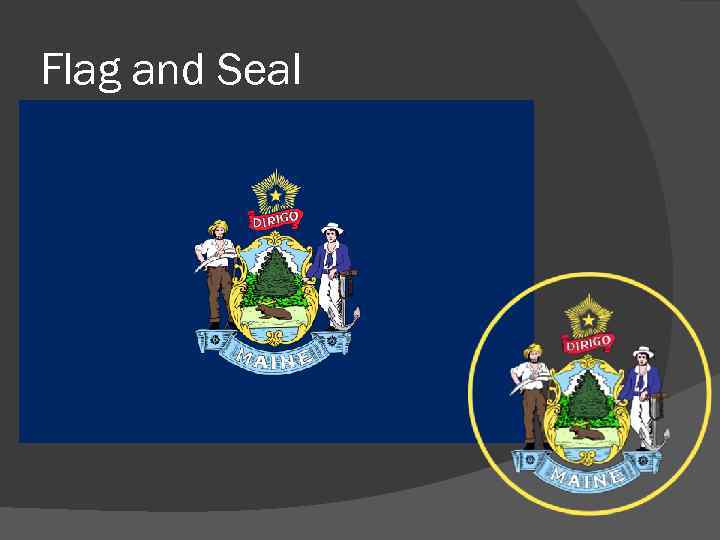 Flag and Seal 