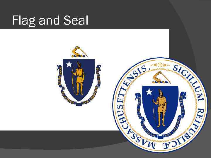 Flag and Seal 