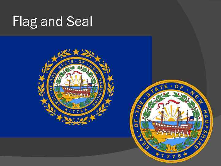 Flag and Seal 