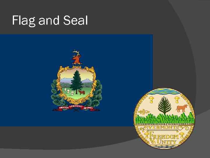 Flag and Seal 