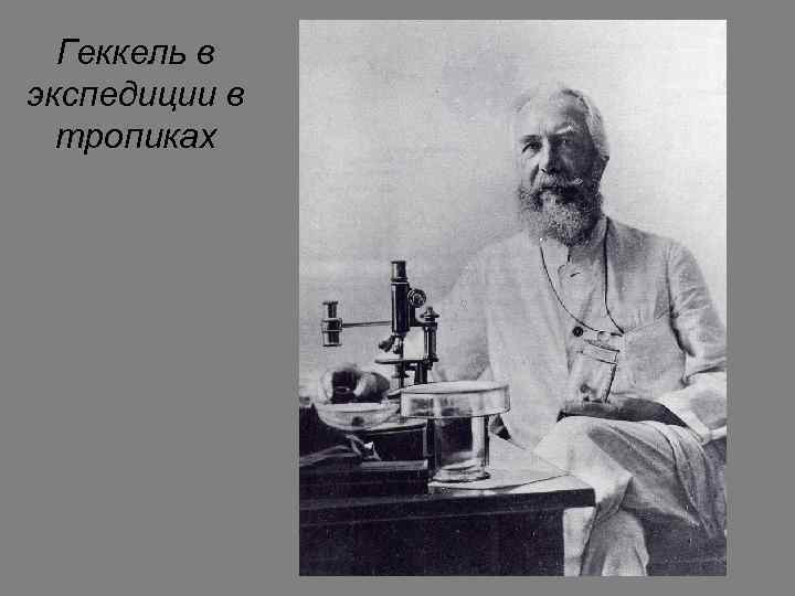 Геккель в экспедиции в тропиках 
