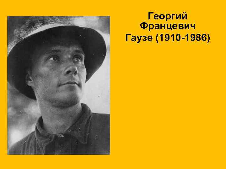 Георгий Францевич Гаузе (1910 -1986) 
