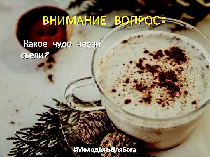 ВНИМАНИЕ ВОПРОС: Какое чудо черви съели? #Молодёжь. Для. Бога 