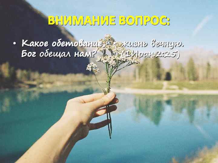 ВНИМАНИЕ ВОПРОС: • Какое обетование, • жизнь вечную. Бог обещал нам? (1 Иоан. 2: