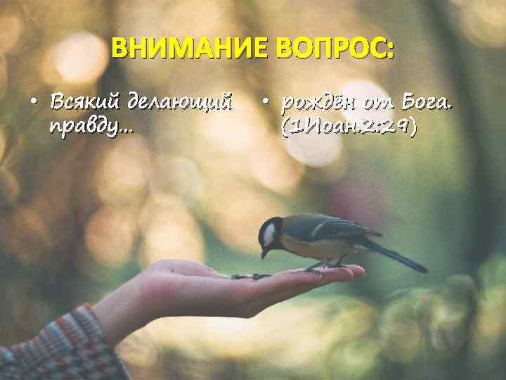 ВНИМАНИЕ ВОПРОС: • Всякий делающий правду… • рождён от Бога. (1 Иоан. 2: 29)