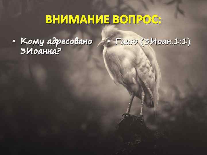 ВНИМАНИЕ ВОПРОС: • Кому адресовано 3 Иоанна? • Гаию (3 Иоан. 1: 1) 