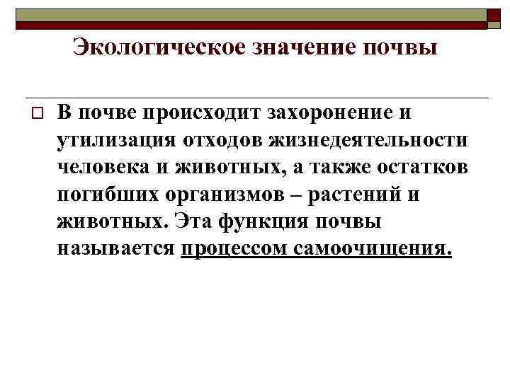 Какие значения почвы. Значение почвы. Роль почвы в жизнедеятельности человека. Экономическое значение почвы. Значение почвы для человека.