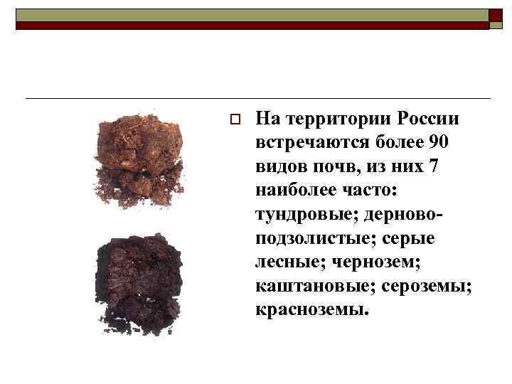 o На территории России встречаются более 90 видов почв, из них 7 наиболее часто: