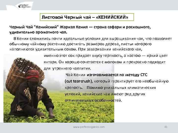 Листовой Черный чай – «КЕНИЙСКИЙ» Черный Чай "Кенийский" Жаркая Кения — страна сафари и