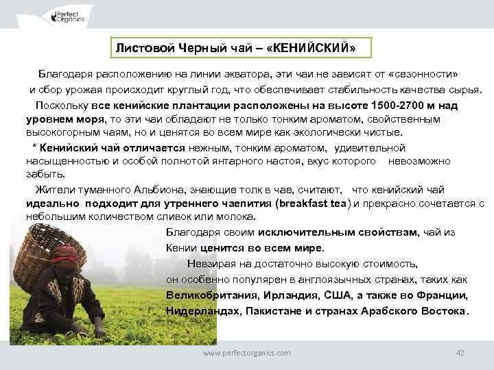 Листовой Черный чай – «КЕНИЙСКИЙ» Благодаря расположению на линии экватора, эти чаи не зависят