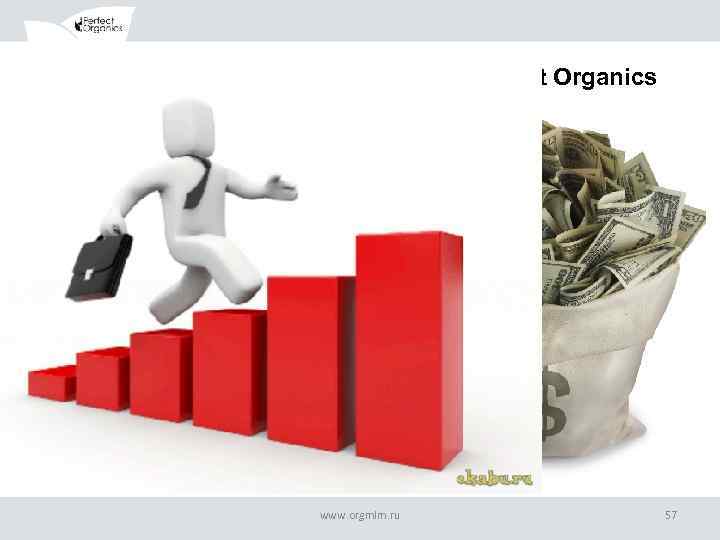 Теперь о том, как сделать Карьеру с Perfect Organics www. orgmlm. ru 57 