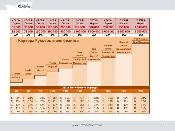 ОБРАЗЕЦ ЗАГОЛОВКА www. perfectorganics. com 61 