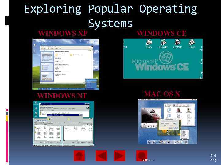 Exploring Popular Operating Systems WINDOWS XP WINDOWS CE WINDOWS NT MAC OS X Software