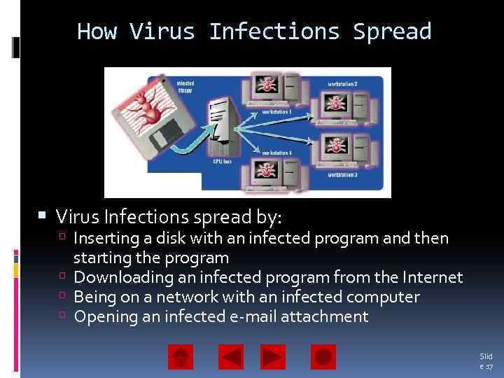 How Virus Infections Spread Virus Infections spread by: Inserting a disk with an infected