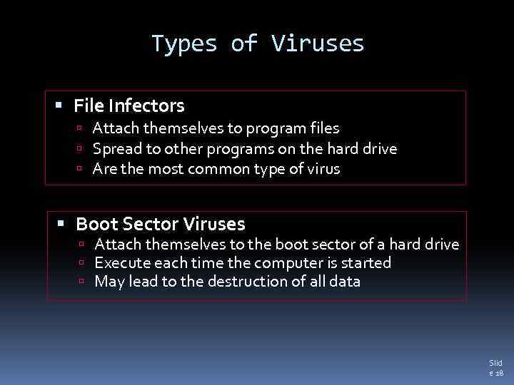 Types of Viruses File Infectors Attach themselves to program files Spread to other programs