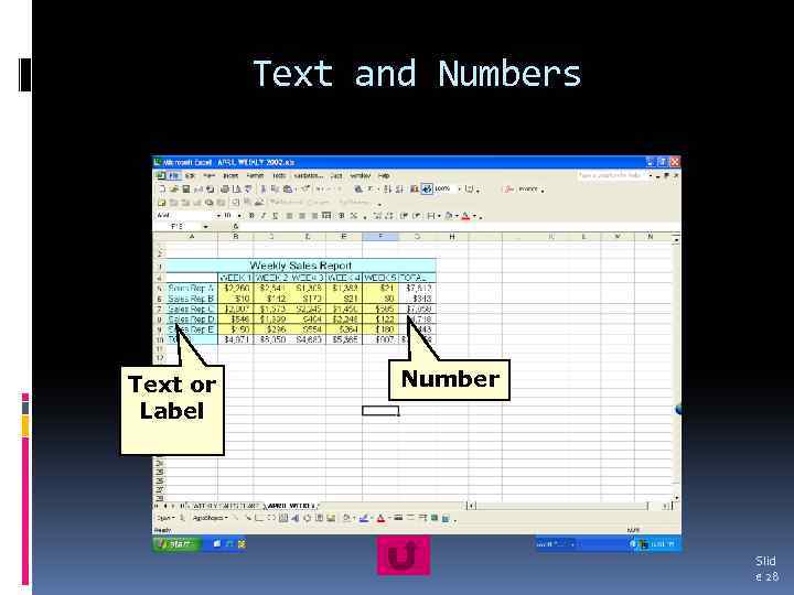 Text and Numbers Text or Label Number Slid e 28 