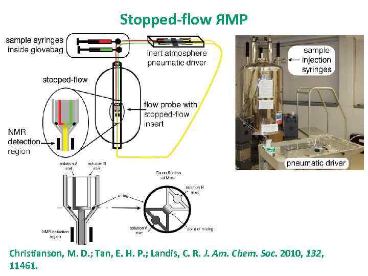Stopped-flow ЯМР Christianson, M. D. ; Tan, E. H. P. ; Landis, C. R.