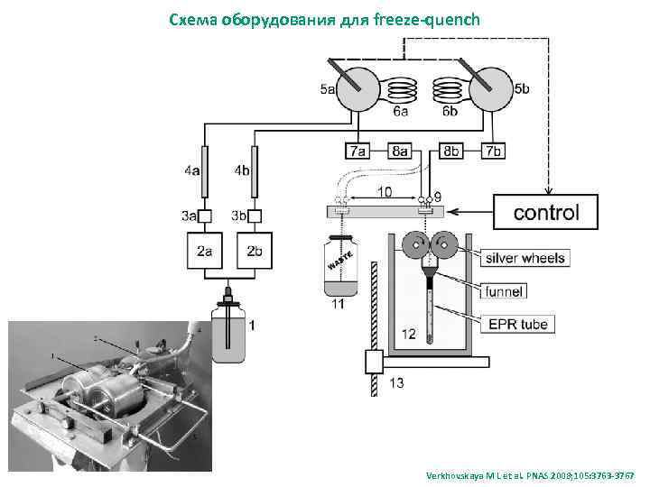 Схема оборудования для freeze-quench Verkhovskaya M L et al. PNAS 2008; 105: 3763 -3767