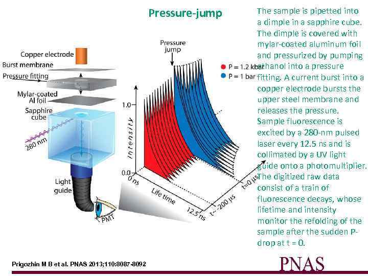 Pressure-jump Prigozhin M B et al. PNAS 2013; 110: 8087 -8092 The sample is