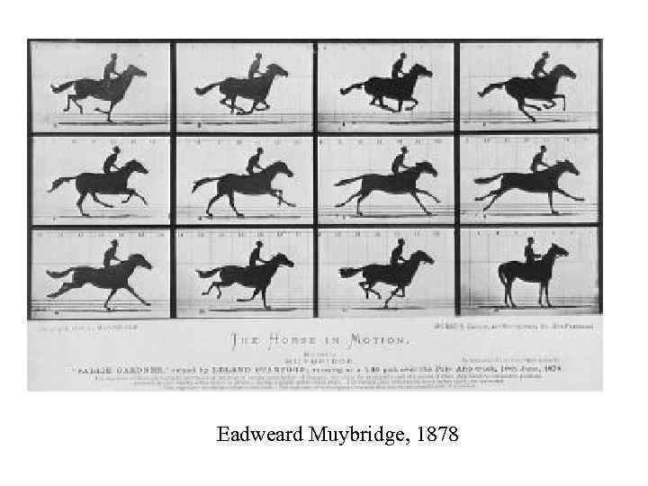 Eadweard Muybridge, 1878 