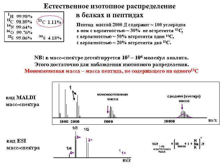 Естественное изотопное распределение в белках и пептидах Пептид массой 2000 Д содержит ~ 100