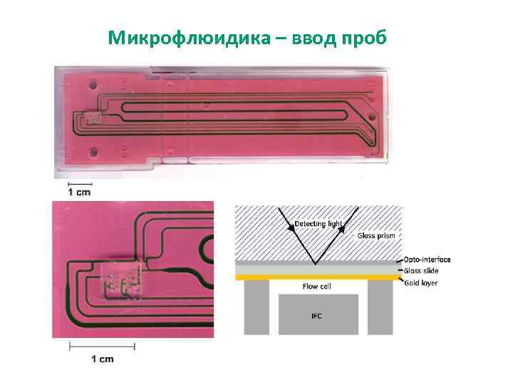 Микрофлюидика – ввод проб 