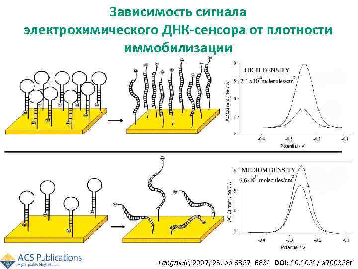 Зависимость сигнала электрохимического ДНК-сенсора от плотности иммобилизации Langmuir, 2007, 23, pp 6827– 6834 DOI: