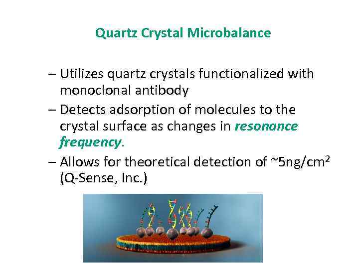 Quartz Crystal Microbalance – Utilizes quartz crystals functionalized with monoclonal antibody – Detects adsorption