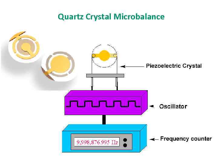 Quartz Crystal Microbalance 