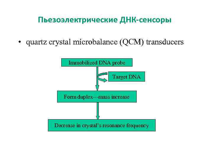 Пьезоэлектрические ДНК-сенсоры • quartz crystal microbalance (QCM) transducers Immobilized DNA probe Target DNA Form