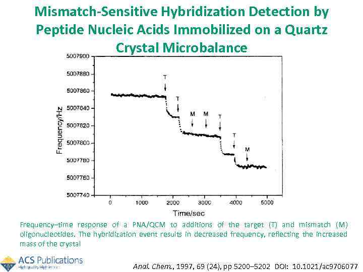 Mismatch-Sensitive Hybridization Detection by Peptide Nucleic Acids Immobilized on a Quartz Crystal Microbalance Frequency–time