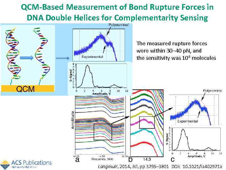 QCM-Based Measurement of Bond Rupture Forces in DNA Double Helices for Complementarity Sensing The