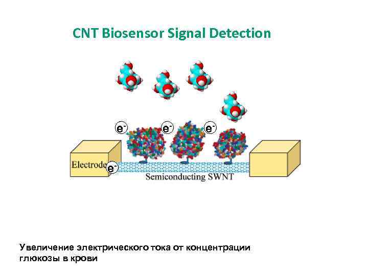 CNT Biosensor Signal Detection e- e- Увеличение электрического тока от концентрации глюкозы в крови