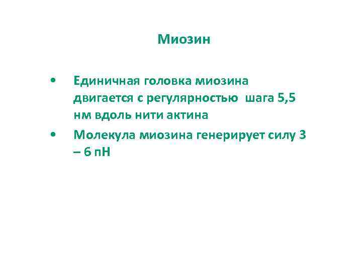 Миозин • • Единичная головка миозина двигается с регулярностью шага 5, 5 нм вдоль