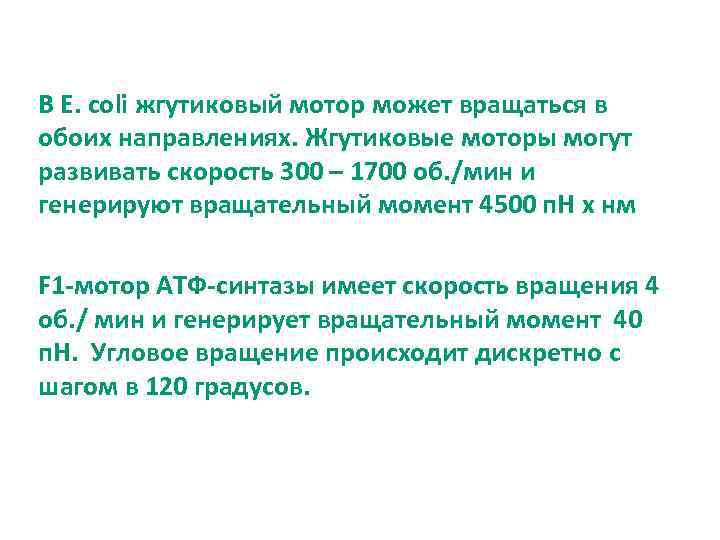 В E. coli жгутиковый мотор может вращаться в обоих направлениях. Жгутиковые моторы могут развивать