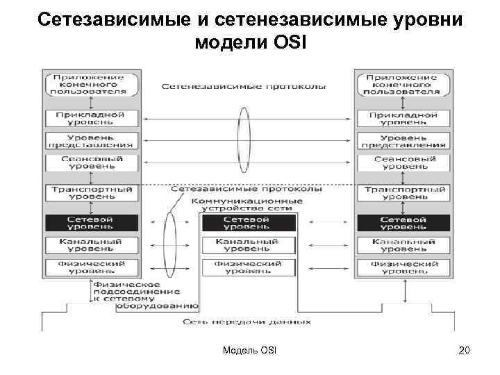 Сетезависимые и сетенезависимые уровни модели OSI Модель OSI 20 