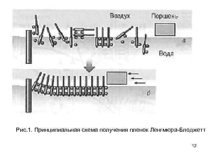 Рис. 1. Принципиальная схема получения пленок Ленгмюра-Блоджетт 12 