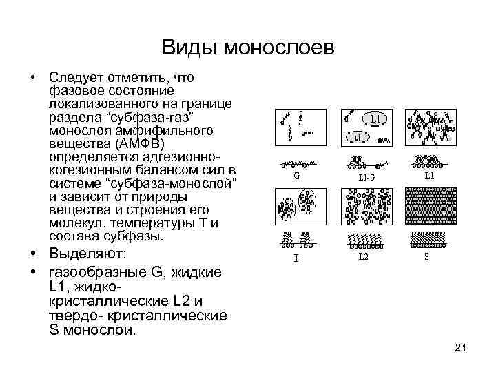 Виды монослоев • Следует отметить, что фазовое состояние локализованного на границе раздела “субфаза-газ” монослоя