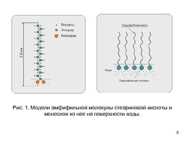 Рис. 1. Модели амфифильной молекулы стеариновой кислоты и монослоя из нее на поверхности воды.