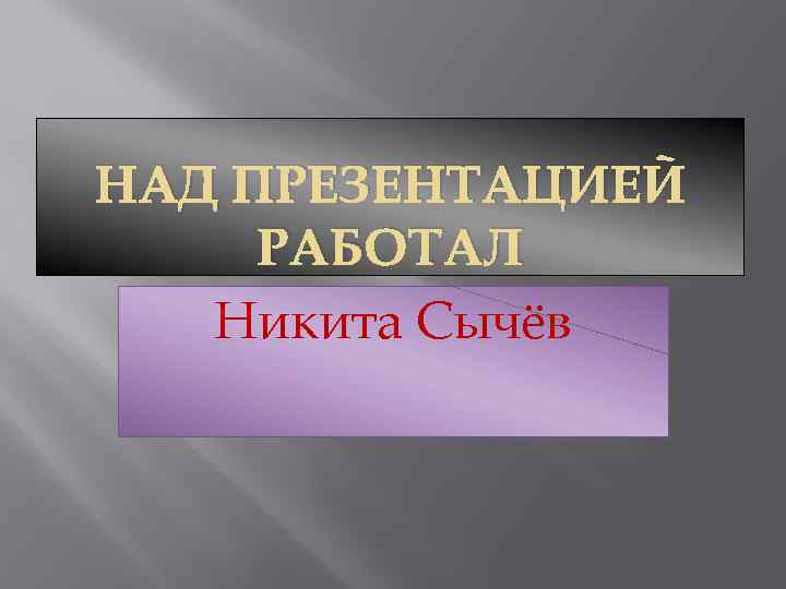 НАД ПРЕЗЕНТАЦИЕЙ РАБОТАЛ Никита Сычёв 