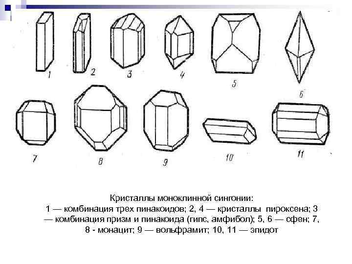 Сингония цветок фото