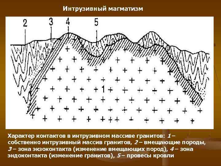 Tas диаграмма для магматических пород