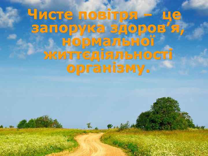 Чисте повітря – це запорука здоров’я, нормальної життєдіяльності організму. 