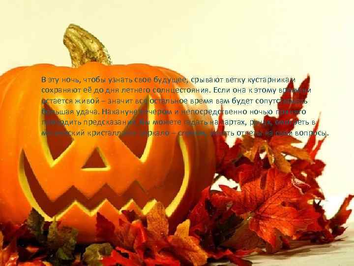 В эту ночь, чтобы узнать свое будущее, срывают ветку кустарника и сохраняют её до