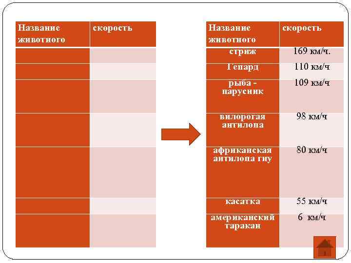 Название животного скорость Название животного стриж скорость 169 км/ч. Гепард 110 км/ч рыба -