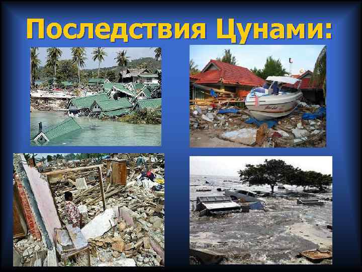 Последствия Цунами: 
