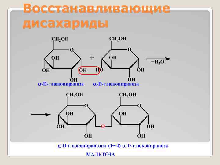 Восстанавливающие дисахариды 