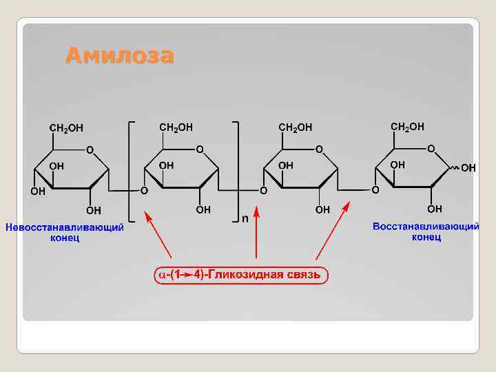 Схема образования амилозы
