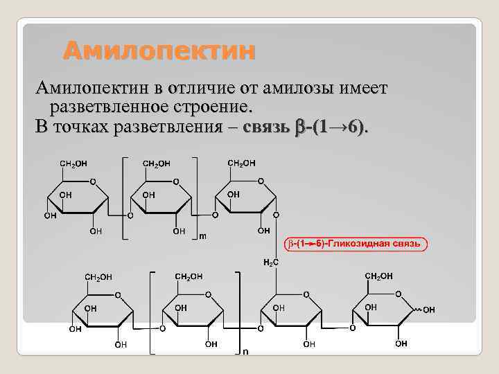 Амилопектин в отличие от амилозы имеет разветвленное строение. В точках разветвления – связь b-(1→