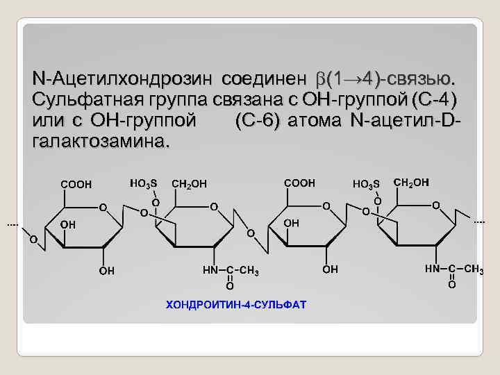 N-Ацетилхондрозин соединен (1→ 4)-связью. Сульфатная группа связана с ОН-группой (С-4) или с ОН-группой (С-6)